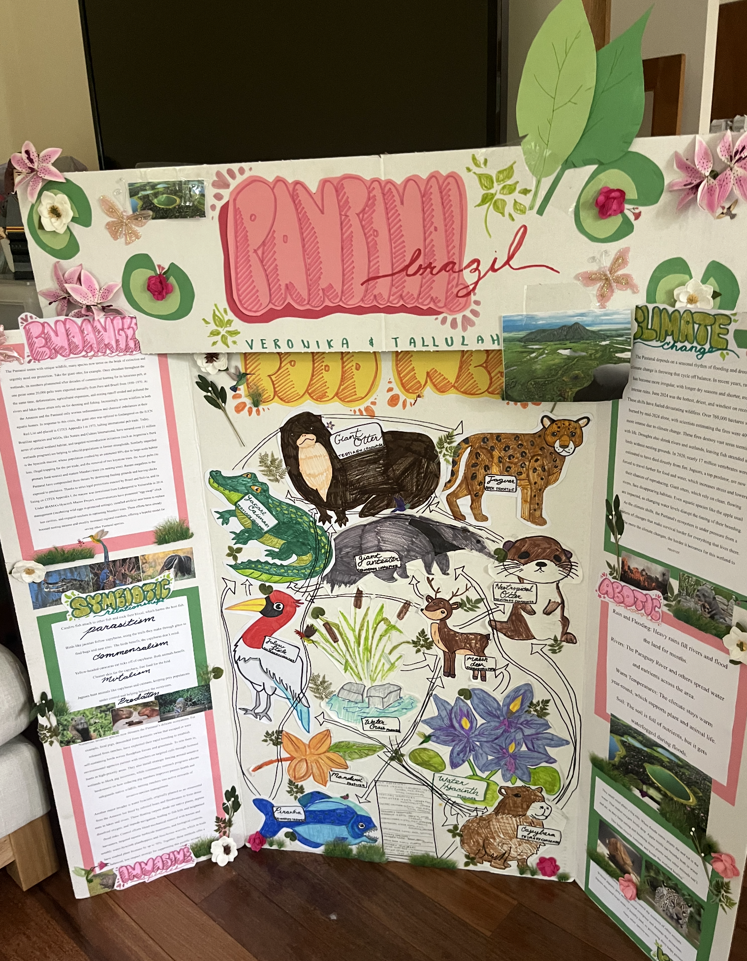 Making presentations and slide decks